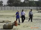 piling_at_satarkul_20111122_1278068434